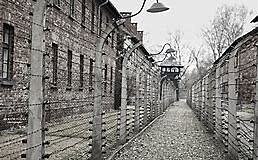 Camps de concentració, extermini i antisemitisme