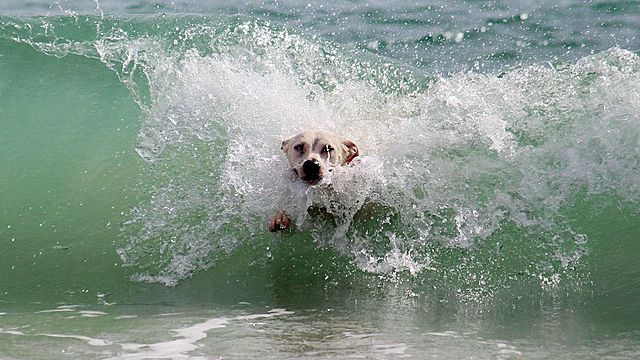 Cuando salvo una vida