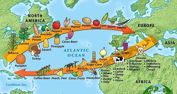Columbian Exchange brings corn to Europe