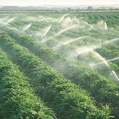 Timeline: Historia de los riegos