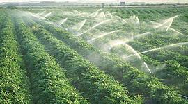 Timeline: Historia de los riegos