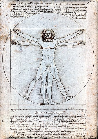 Creació de l’home de Vitruvi de Leonardo Da Vinci