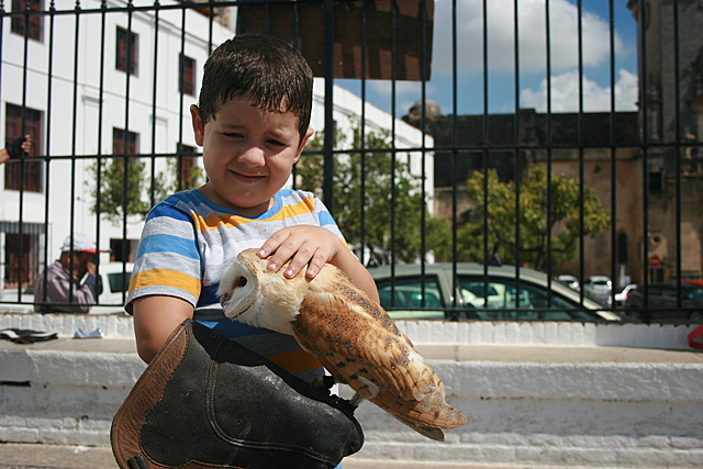 Vacaciones andaluzas
