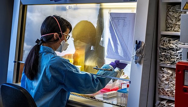 Major funding for therapeutics research received.