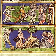 Sentència arbitral de Guadalupe