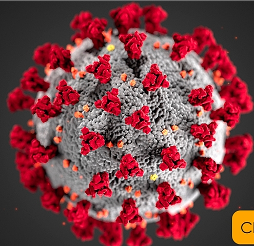 Coronavirus