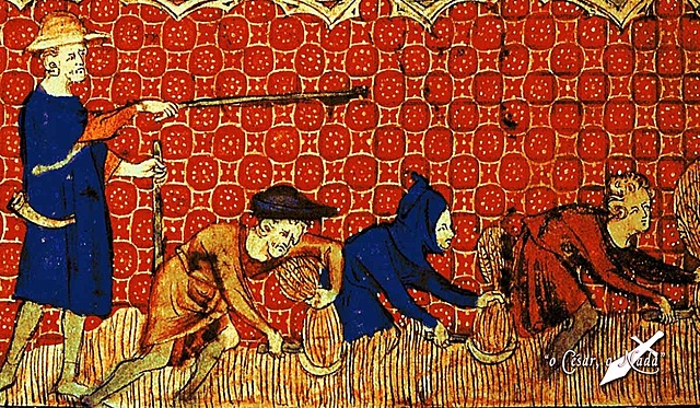 Sentencia arbitral de Guadalupe