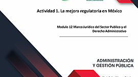 Timeline: MEJORANDO LA MEJORA REGULATORIA