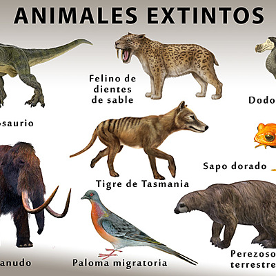 Timeline: Animales en Vía de Extinción y Extintos desde 1500 hasta la Actualidad
