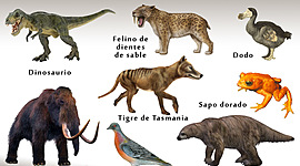 Timeline: Animales en Vía de Extinción y Extintos desde 1500 hasta la Actualidad