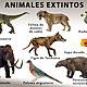 Animales extintos