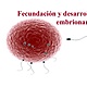 Fecundacion