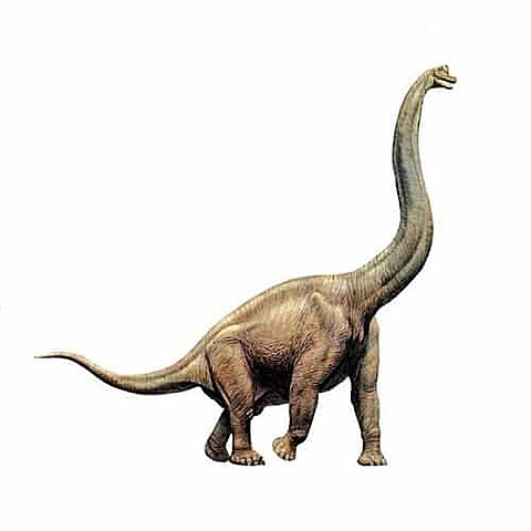 braquiosaurio
