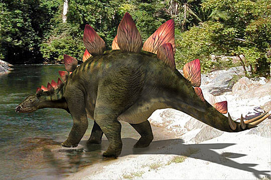 Stegosaurus