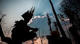 Timeline: Linea del tiempo