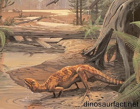 Scutellosaurus
