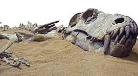 Timeline: Animales extintos a través de la historia Alejandro Quintero 8A