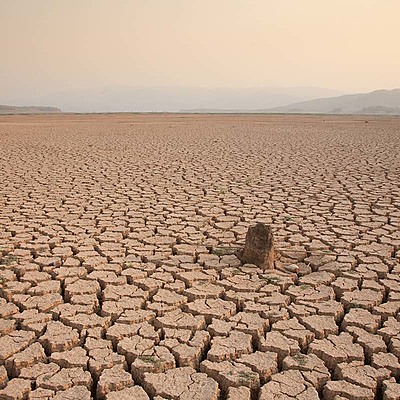 Timeline: Linea del Tiempo Extincion Animales