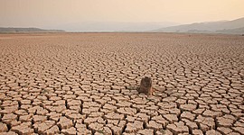 Timeline: Linea del Tiempo Extincion Animales