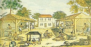 American Style's Life