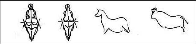 Cronología Estilística -Estilo II /  Gravetiense y Solutrense inferior.