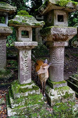 TWO IMPORTANT DEATHS