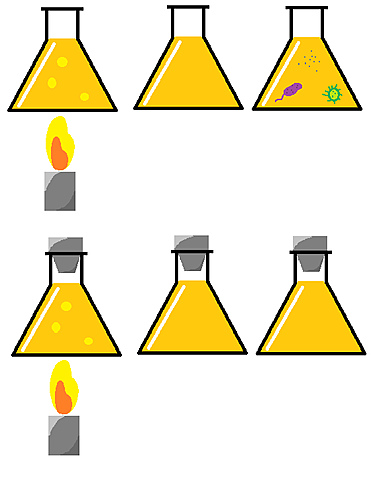experimento con caldo nutritivo