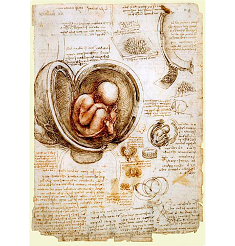 El hombre como objeto de estudio