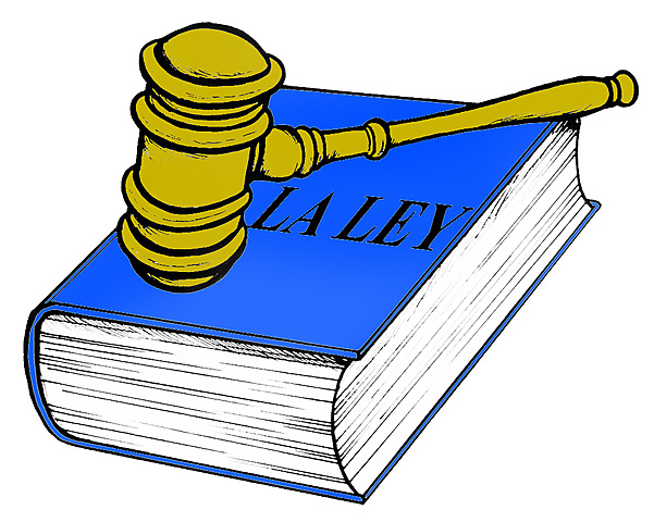 Decreto 2784 - Regula marco normativo al grupo 1