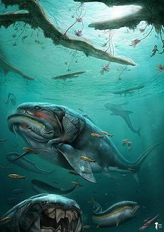 Aparición de los primeros vertebrados