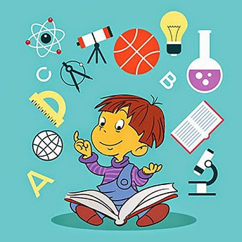 Desarrollo intelectual