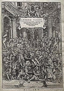 Vesalius Descriu l’anatomia, anota i realitza les primeres  disseccions del cos humà.