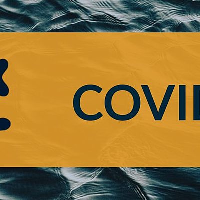 Timeline: La covid 19