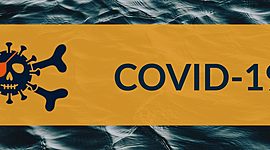 Timeline: La covid 19