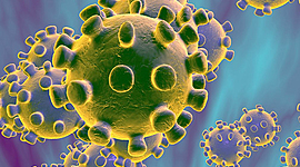 Timeline: LA PANDEMIA DEL COVID 19