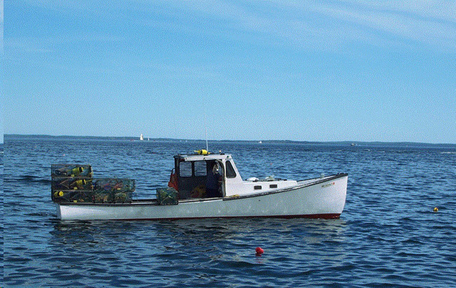 Fresh Fish! Lobster! Crab!