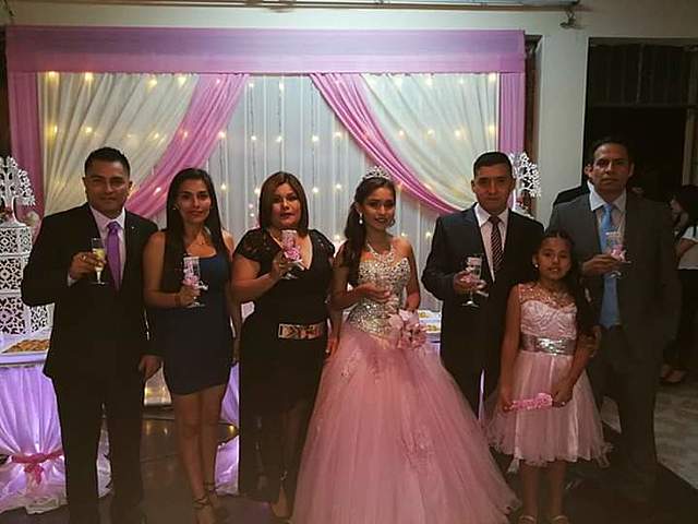 Mis XV