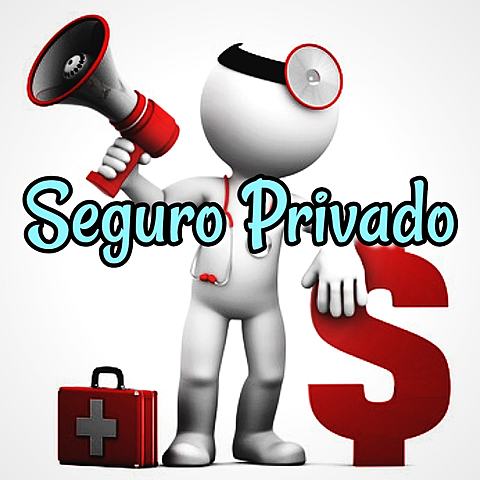 Finales del siglo XIX - Aparición del seguro Privado