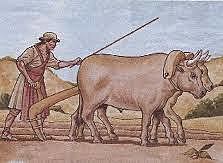 INVENCIÓN DEL ARADO