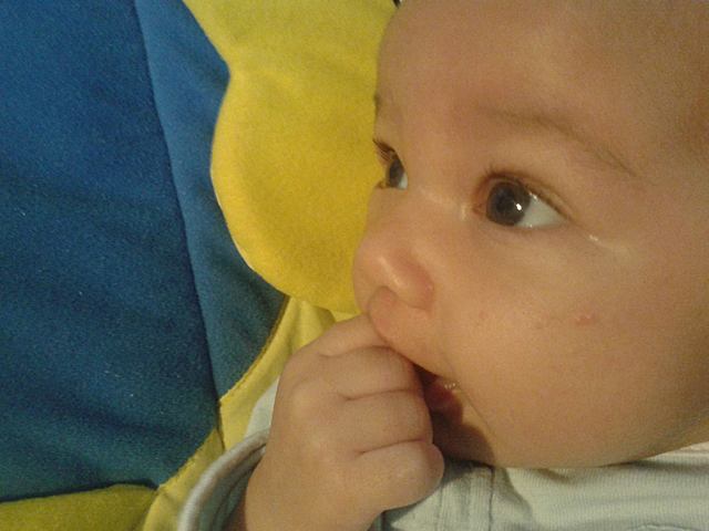 Naixement de la meua cosina Naila