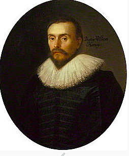William Harvey