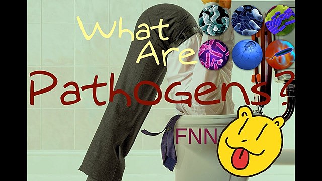 13th Video - What are pathogens?