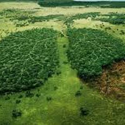 Timeline: Historia Ambiental