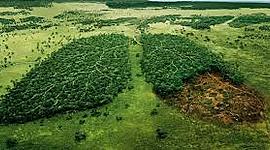 Timeline: Historia Ambiental