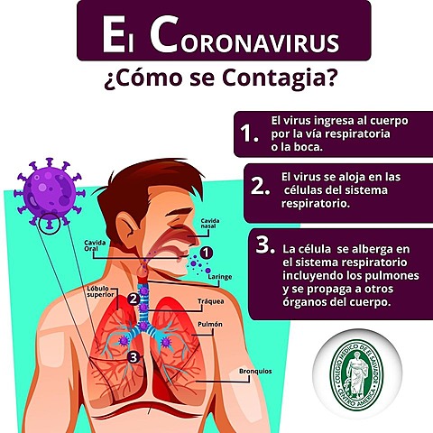 ¿CÓMO SE CONTAGIA?