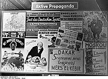 Característiques particulars dels règim totalitari (V)