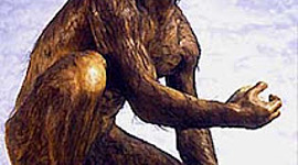 Timeline: TEORIAS DE LA APARICION DEL SER HUMANO COMO ESPECIE  BY ZORAYDA AYAZO MARTINEZ 8B  VISION MUNDIAL