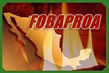 Se funda el Fondo Bancario de Protección al Ahorro (Fobaproa).