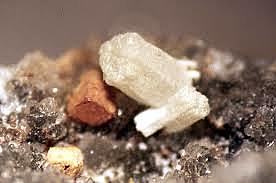 Se llega al acuerdo Bateman-SuárezTéllez