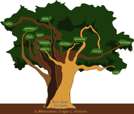 Discovery of Indo-European Language